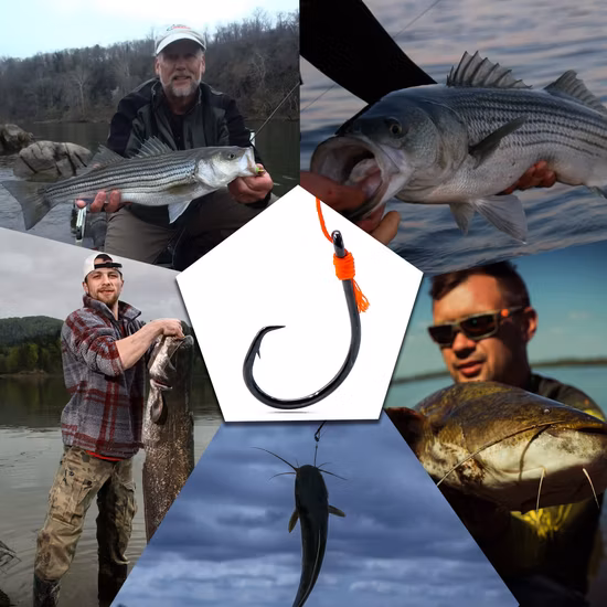 Fish Trip Circle Saltwater Fishing 3X Strong Catfish 25PCS Hooks